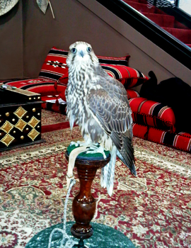 IMG00159-20101108-1143